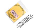 Orologio O Ring, O Ring Watch Gasket, O Ring In Gomma, Guarnizione O Ring, Guarnizione In Gomma
