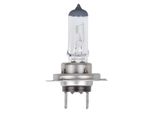 Lampadina Per Auto 12V 55W Px26D H7 In Scatola