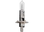 Lampadina Per Auto 12V 55W P14,5S H1 In Scatola