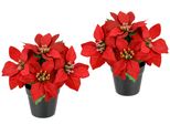 Kunstblume I.Ge.A. "Poinsettia Im Topf", Rot, B:16Cm H:17Cm L:16Cm, Polyester, Kunstpflanzen, 2Er Set KüNstliche Blume Weihnachtsstern Christstern Weihnachtsdeko