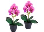 Kunstorchidee I.Ge.A. "Orchidee Im Topf 2Er Set", Rosa (Dunkelrosa), B:18Cm H:30Cm L:9Cm, Polyester, Kunstpflanzen, KüNstliche Phalaenopsis 30Cm Real Touch Blume Kunstblume Seidenblume