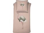 Kinderbettwäsche DAMAI Sloane, pink, B/L: 135cm x 200cm, 1 Stk., 1 Stk., Renforcé, B/L: 80cm x 80cm, Renforcé, Obermaterial: 100% Baumwolle, Bettwäsche, Kinderbettwäsche, mit Vogel Strauß