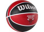 Wilson Palloni Nba Team Chicago Bulls, WTB1300XBCHI