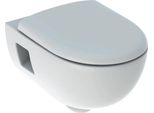 Geberit Renova Set Wwc Valvola Di Risciacquo Rimfr. Con Sedile Wc Sgancio Rapido