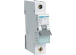Interruttore Hager Ls 1 Polo 6Ka B Caratteristica 16A 1 Modulo Hager MBN116