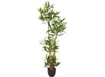 Kunstbaum Creativ Green "Ficus Maclellandii", GrüN, H:150Cm, Kunststoff, Kunstpflanzen, Mit Echtem Holzstamm