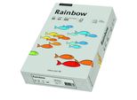 Carta Multifunzione Papyrus Rainbow A4 80 G/M² Grigio