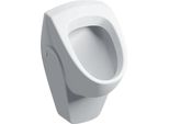 Geberit Renova Urinal, Zulauf Von Hinten Abgang Nach Hinten, Weiß