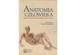 Anatomia Umana (Buch Auf Polnisch)