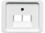Busch-Jaeger Piastra Centrale 2-Gang 2CKA001710A2033 1803-02-24G