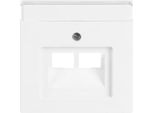 BUSCH-JAEGER Zentralplatte Uae/Iae 2F Futuro Lineare Std-Ws Glz