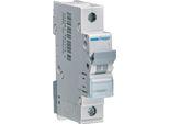 Interruttore Hager Ls 1 Polo 6Ka C Caratteristica 32A Hager MCN132
