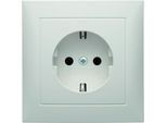 Berker Presa Di Corrente 1F Polws Mt S.1 Up IP20 Vp