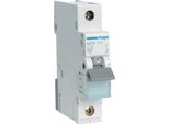 Interruttore Hager Ls 1 Polo 6Ka Caratteristica C 13A 1 Modulo Hager MCN113