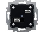 Busch-Jaeger Taster Ba 2-Fach Knx 6108/06