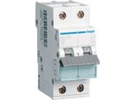 Interruttore Hager Ls 1P+N 6Ka C Caratteristica 25A 2 Moduli Hager MCN525