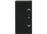 Busch-Jaeger Wippe 2-Fach Li/Re, Symbol Jalousie Div. FläChenprogramme, Schwarz Matt
