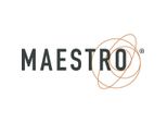 Maestro Carta Per Copie Standard Plus 94928B80B A3 80G Ws 500 Fogli/Confezione