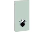 Geberit Monolith WC101 Vaso Sospeso In Vetro Menta