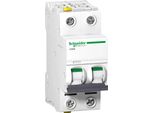 Interruttore Ls Schneider Electric A9F06206