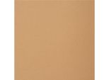 Folia 692/4/98 Folia Cartoncino Kraft, 230 G/M², Din A4, 50 Fogli