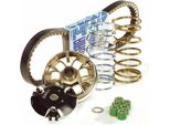 Kit Variatore Polini Per Peugeot Ludix