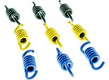 Molle Frizione Polini 3G Per Frizione Polini Speed Clutch