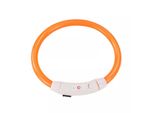 Collare Luminoso A Led Circuito Usb 20-45 Cm Arancione