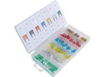 Asta | Mini Set Di Fusibili Per Auto, 120 Pezzi, Set Di Fusibili Per Auto, 5A, 7,5A, 10A, 15A, 20A, 25A, 30A, Fusibile Per Auto, Fusibile Piatto, Fusibili A Innesto