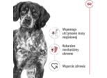 Royal Canin Shn Medium Adult Bf 15 Kg