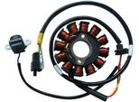 Statore Sgr 12 Poli Con Pick-Up