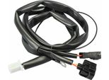 Cablaggio Centralina Ecu Polini Honda Sh 125I/150I