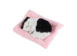 Gatti Finti, Gatto Che Fa Le Fusa, Gatto Giocattolo Di Peluche, Gatto Giocattolo Addormentato, Gatto Bambola Addormentata, Gatto Giocattolo Realistico