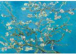 Puzzle Di Bluebird Vincent Van Gogh Mandorlo In Fiore 1000 Pezzi