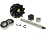 Kit Revisione Pompa Acqua Motoforce Per Gilera Runner 125-180Cc