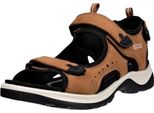 Scarpe Ecco Offroad Andes Ii 82204302291