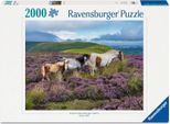 Puzzle Ravensburger 12001751 - Cavalli Selvaggi Nella Brughiera - Puzzle Da 2000 Pezzi, Per Gli Appassionati Di Cavalli Dai 14 Anni In Su