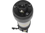 2113209313 Puntone Per Mercedes W211 Classe E Airmatic Sospensione Anteriore Sinistra