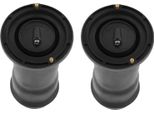 2X Sospensioni Pneumatiche Posteriori Sinistra E Destra Per Land Rover Discovery 2 LR2 RKB101200