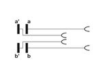 Corning Lsa-Plus 2 Cavo Di Prova A 4 Poli