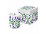 Ppd Traceys Lavendula Trend Mug, In Confezione Regalo, Tazza, Tazza Da Caffè, Tazza, Tazza, New Bone China, 400 Ml, 160302560