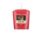 Yankee Candle Tropical Jungle Votivkerze 49 G