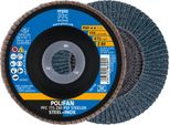Rondella Dentata Polifan Z Psf Steelox D.115Mm K.Z-80 Con.Inox Zk Pferd