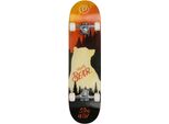 Skateboard PLAYLIFE Mighty Bear, bunt (mehrfarbig), Skateboards, Skateboard