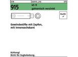 Viti A Testa Cilindrica Reyher Din 915 45 H M 12X25 Galv. Vz 009152100120025 (100 Pezzi)