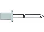 Rivetto Cieco Di Tenuta Cap® Gambo Rivetto Dxl 4X9,5Mm Alluminio/Sta 500 Pz Gesipa