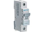 Interruttore Hager Ls A 1 Polo, 6Ka, Caratteristica C, 16A Hager MCN116