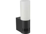 Steinel L605 Ant Luce Per Esterni