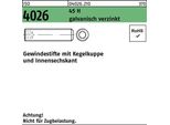 Viti A Testa Cilindrica Reyher Iso 4026 45 H M 12X14 Galv. Vz 040262100120014 (200 Pezzi)