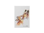 Pagna® 26082-15 Taccuino Save Me No.2 - Fox, A5, 128 Pagine